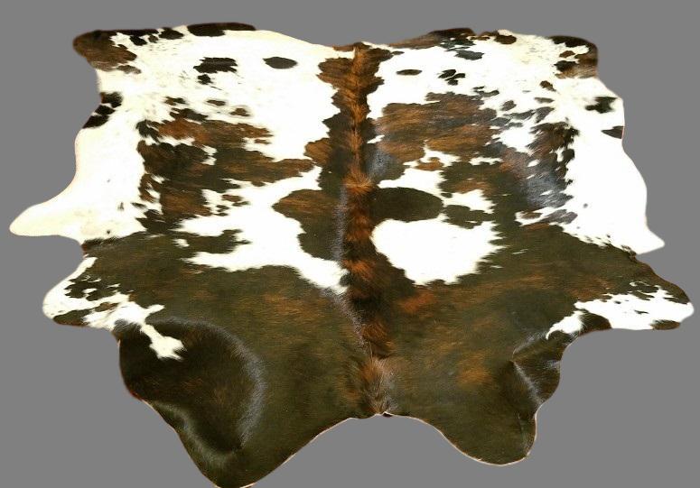 COWHIDE ONLINE WAREHOUSE Trophy Room Collection