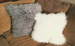 Gray Tibetan Lamb - SINGLE Sided Pillow (22") - Trophy Room Collection 