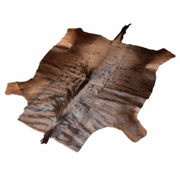 FULL HIDE - Wildebeest – Trophy Room Collection