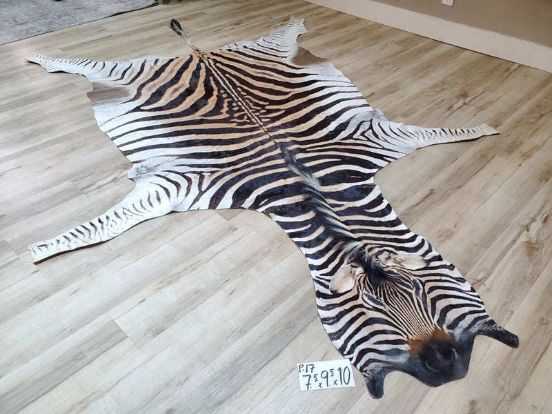 Premium Zebra Skin Rug- P17