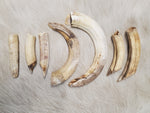Hippo Ivory