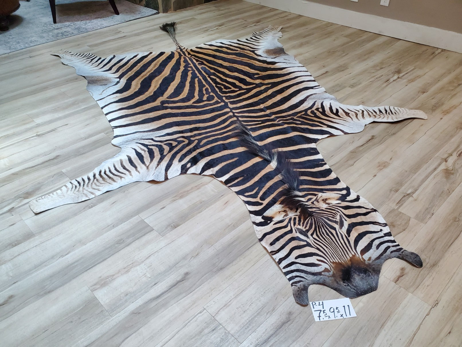 Premium Zebra Skin Rug- P4 – Trophy Room Collection
