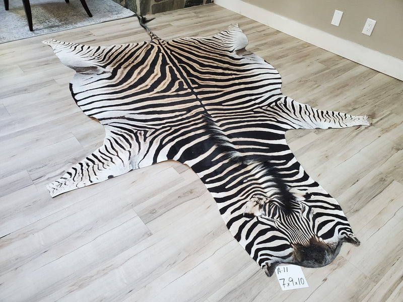 A Grade Zebra Skin Rug- A11