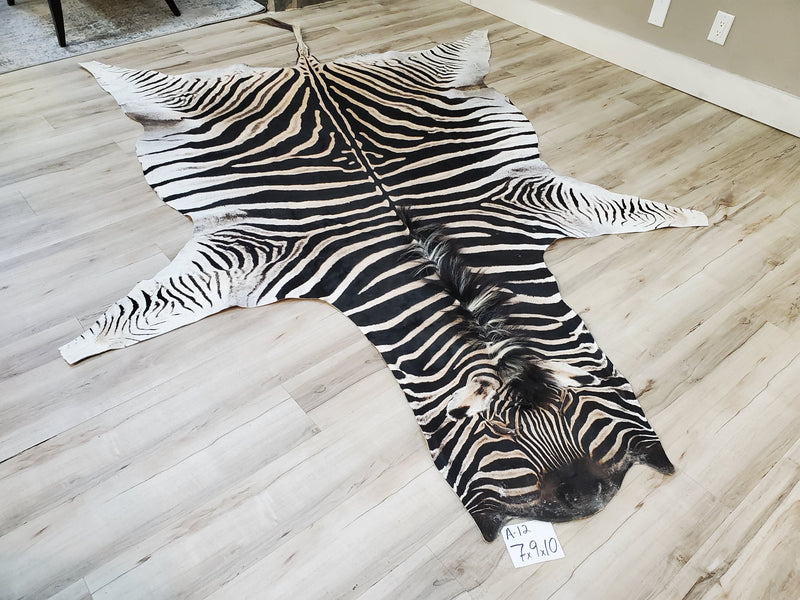 A Grade Zebra Skin Rug- A12