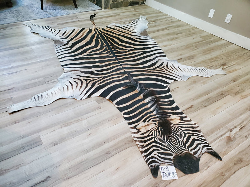 A Grade Zebra Skin Rug- A3