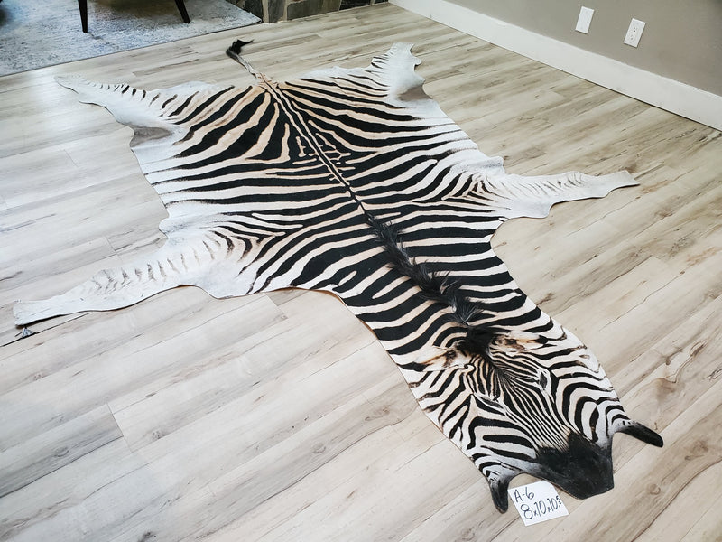 A Grade Zebra Skin Rug- A6