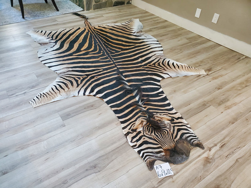A Grade Zebra Skin Rug- A7