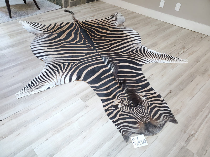 B Grade Zebra Skin Rug- B4