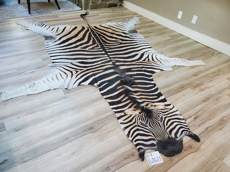 B Grade Zebra Skin Rug- B7