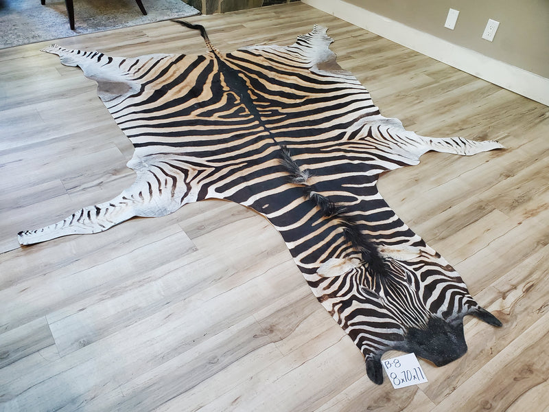 B Grade Zebra Skin Rug- B8
