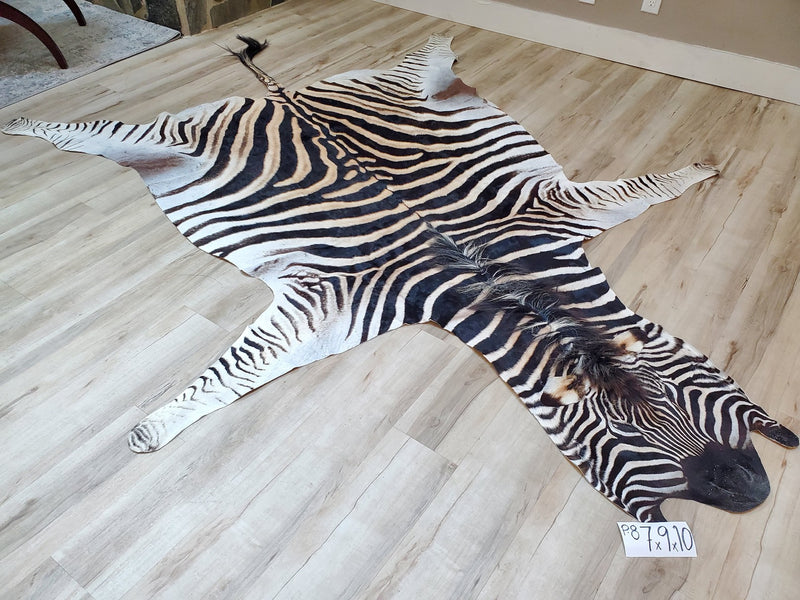 Premium Zebra Skin Rug- P8