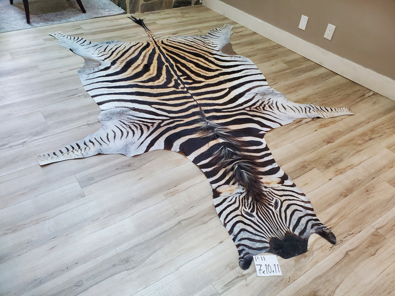 Premium Zebra Skin Rug- P11