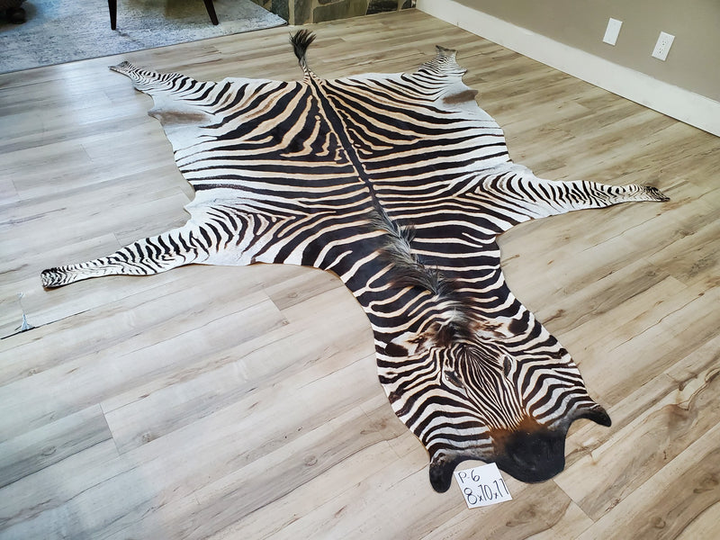 Premium Zebra Skin Rug- P6