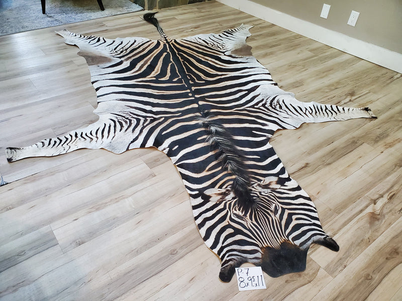 Premium Zebra Skin Rug- P7