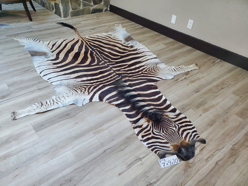 Authentic Zebra Skin Rug - Zebra Rugs for Sale | Trophy Room Collection ...