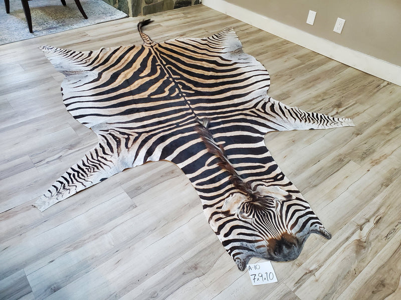 A Grade Zebra Skin Rug- A10