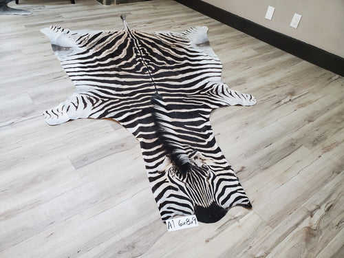 Authentic Zebra Skin Rug - Zebra Rugs for Sale | Trophy Room Collection ...