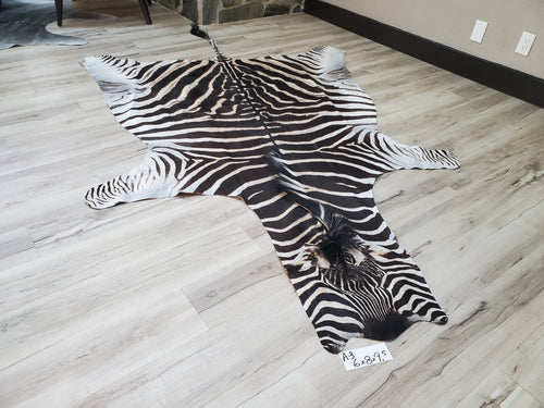 Authentic Zebra Skin Rug - Zebra Rugs for Sale | Trophy Room Collection ...