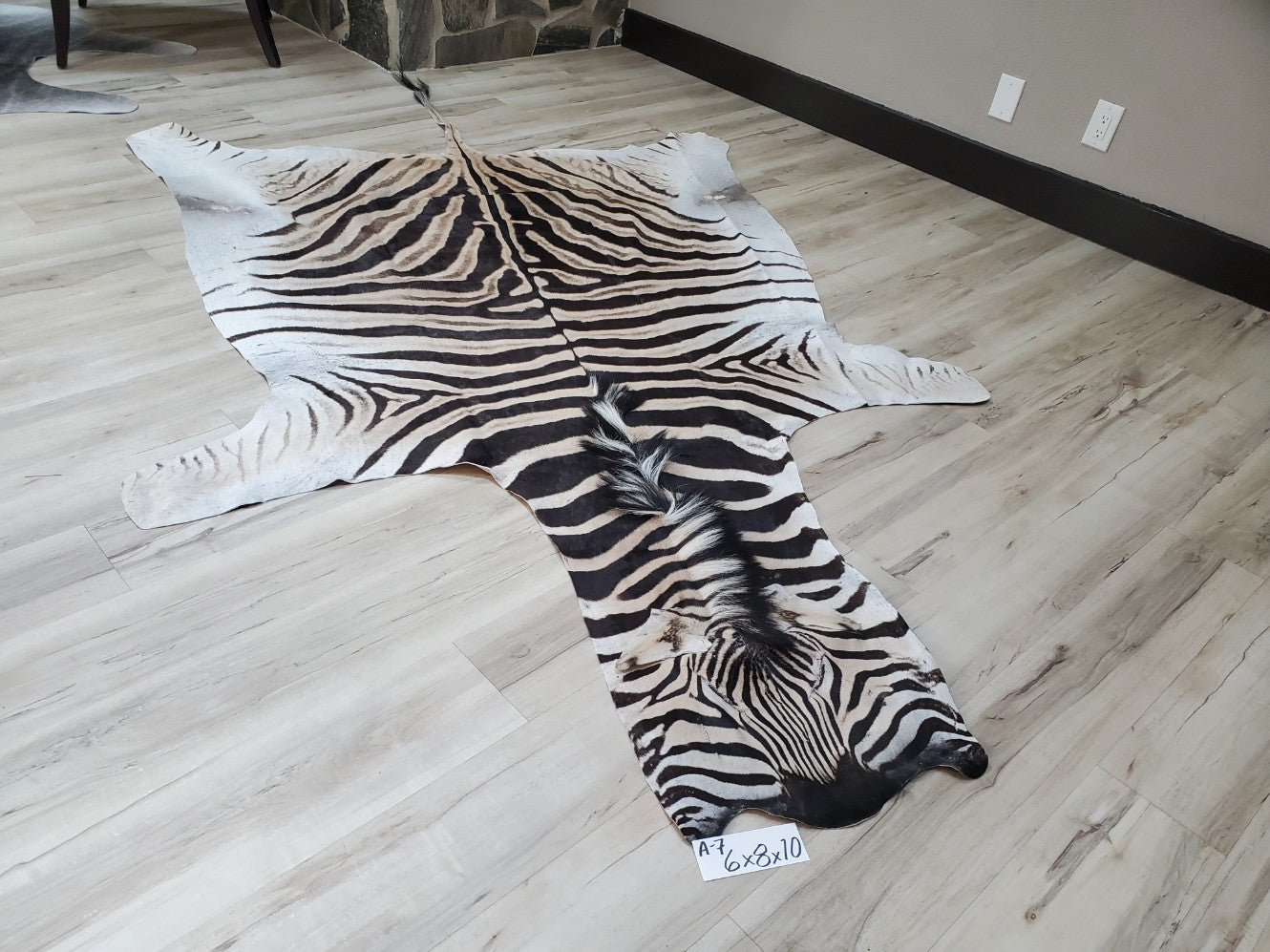 A Grade Zebra Skin Rug- A7 – Trophy Room Collection
