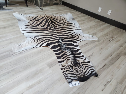 Authentic Zebra Skin Rug - Zebra Rugs for Sale | Trophy Room Collection ...