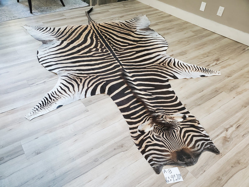 A Grade Zebra Skin Rug- A8