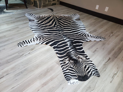 Authentic Zebra Skin Rug - Zebra Rugs for Sale | Trophy Room Collection ...