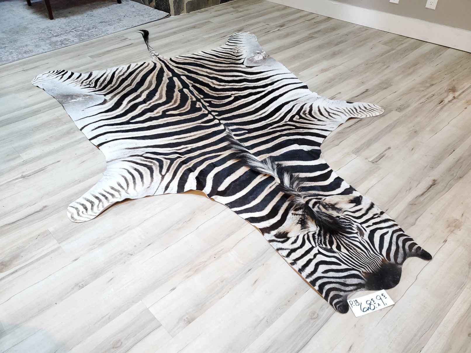 Zebra Rug