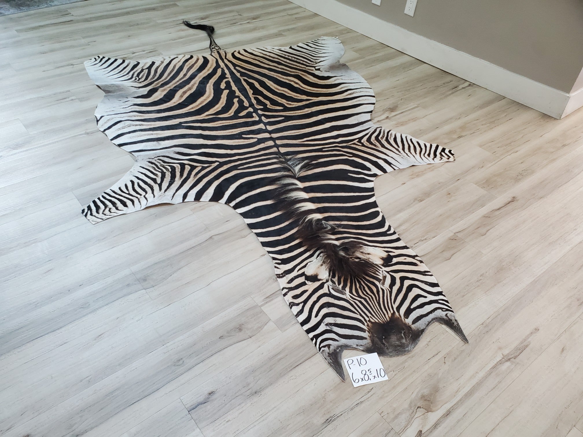 Premium Zebra Skin Rug- P10 – Trophy Room Collection