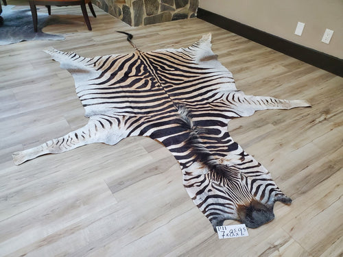 Authentic Zebra Skin Rug - Zebra Rugs for Sale | Trophy Room Collection ...