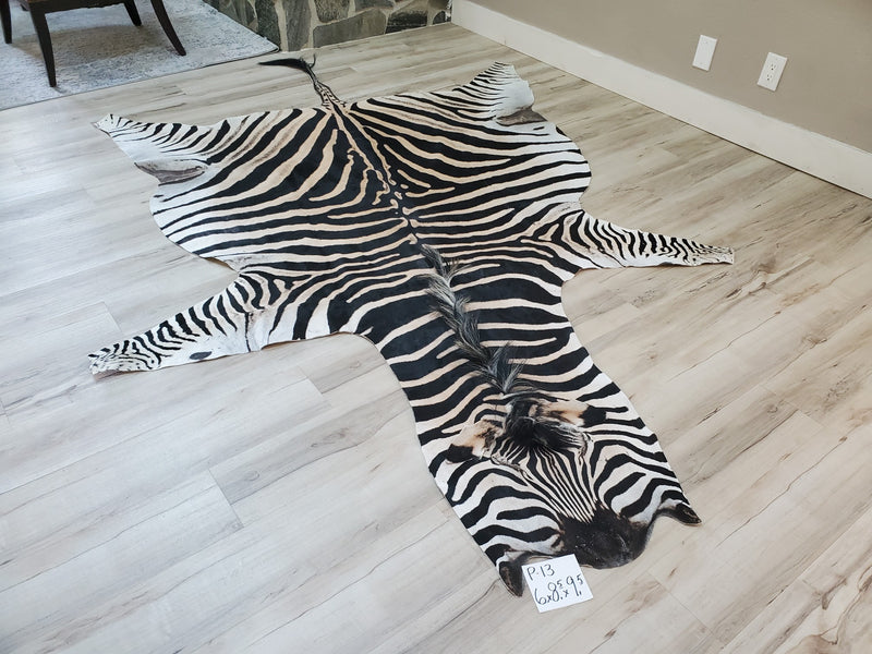Zebra Head Skin Rug Premium Zebra Skin Rug- P13 – Trophy Room Collection