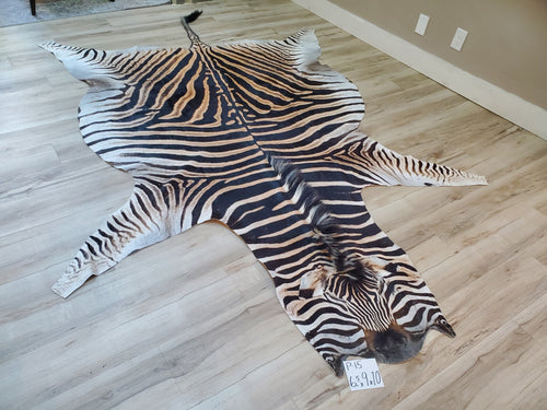 Zebra Head Skin Rug Authentic Zebra Skin Rug - Zebra Rugs for Sale | Trophy Room Collection ...