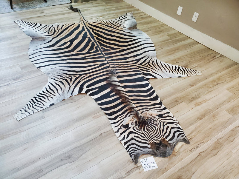 Premium Zebra Skin Rug- P17