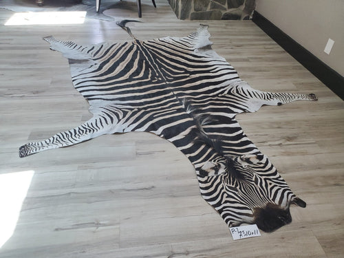 Authentic Zebra Skin Rug - Zebra Rugs for Sale | Trophy Room Collection ...