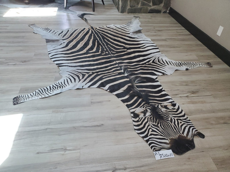 Premium Zebra Skin Rug- P1 – Trophy Room Collection