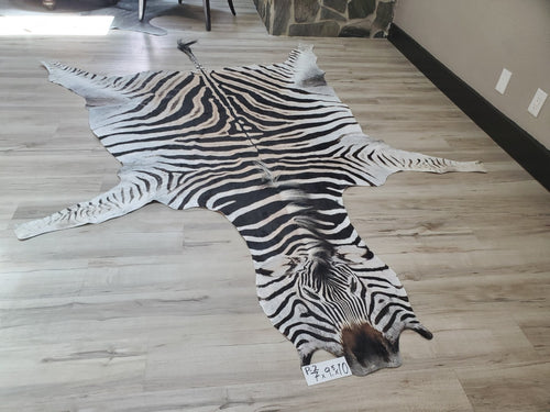 Authentic Zebra Skin Rug - Zebra Rugs for Sale | Trophy Room Collection ...