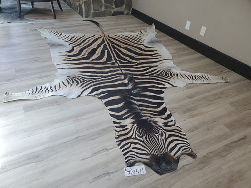 Authentic Zebra Skin Rug - Zebra Rugs for Sale | Trophy Room Collection ...
