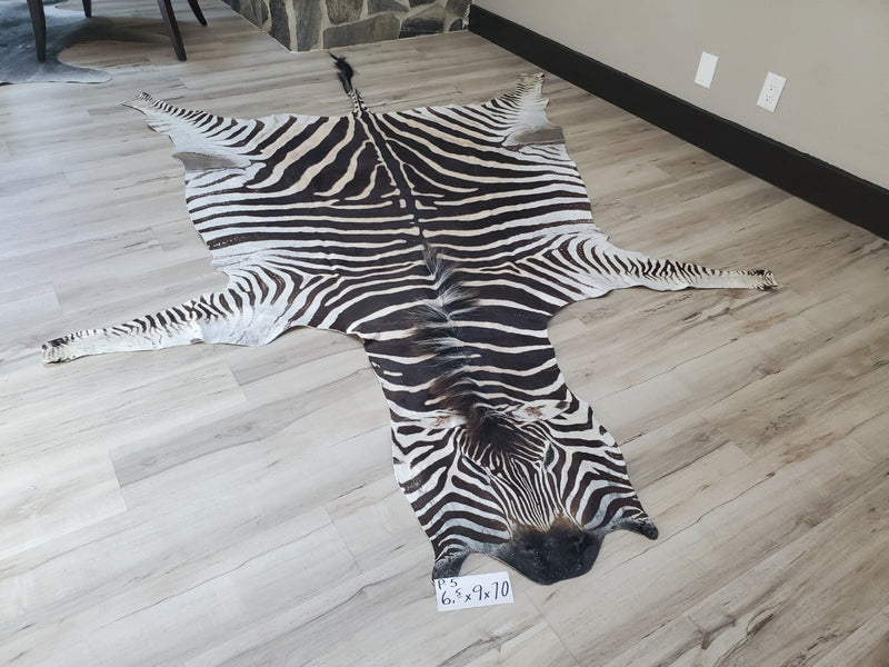 Premium Zebra Skin Rug- P5 – Trophy Room Collection