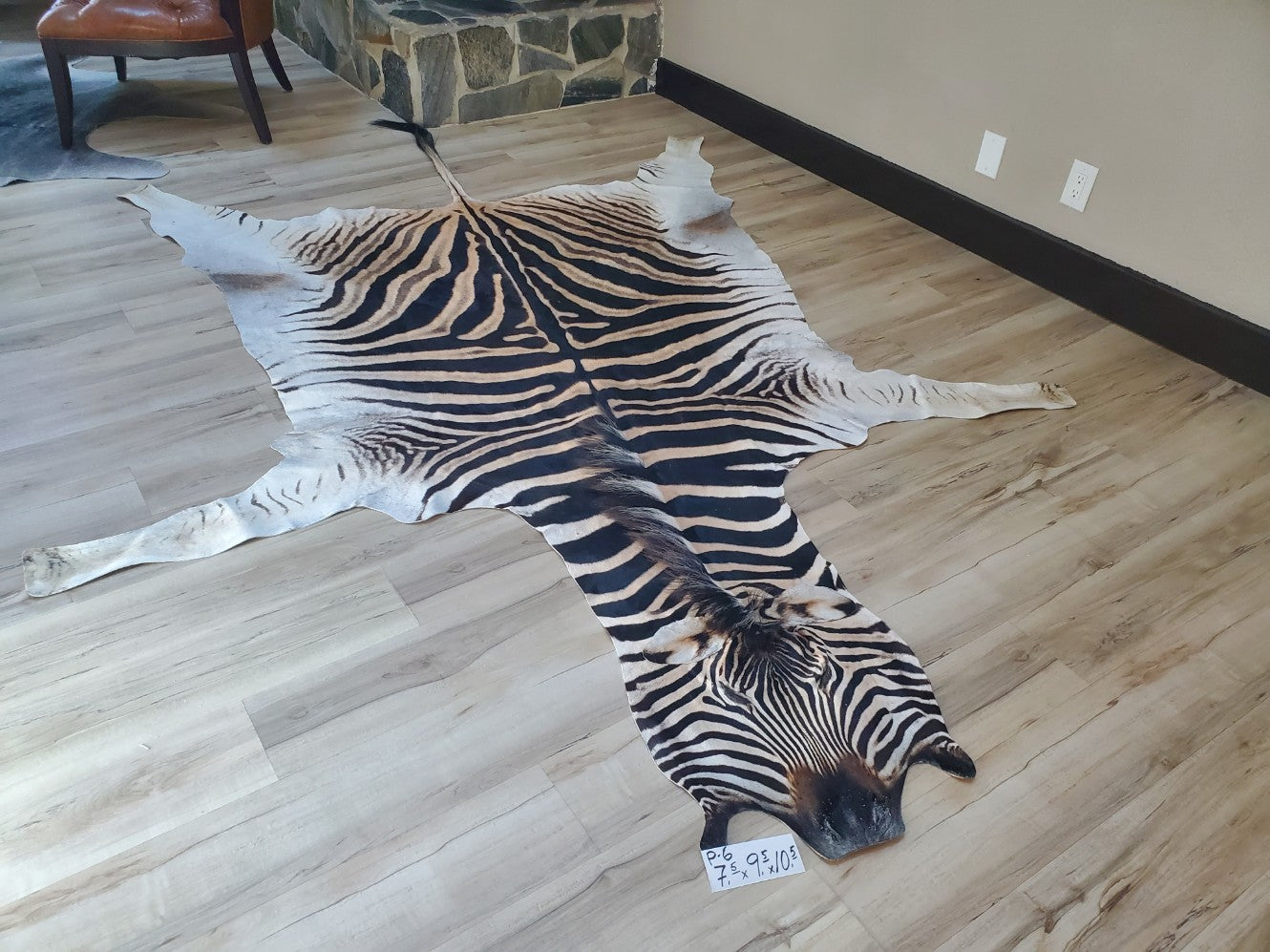 Premium Zebra Skin Rug- P6 – Trophy Room Collection