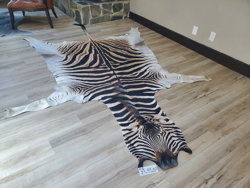 Zebra Head Skin Rug Premium Zebra Skin Rug- P6 – Trophy Room Collection