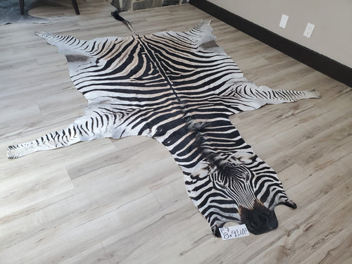 Authentic Zebra Skin Rug - Zebra Rugs for Sale | Trophy Room Collection ...