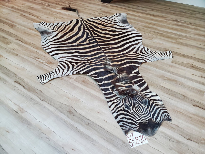 B Grade Zebra Skin Rug - B17