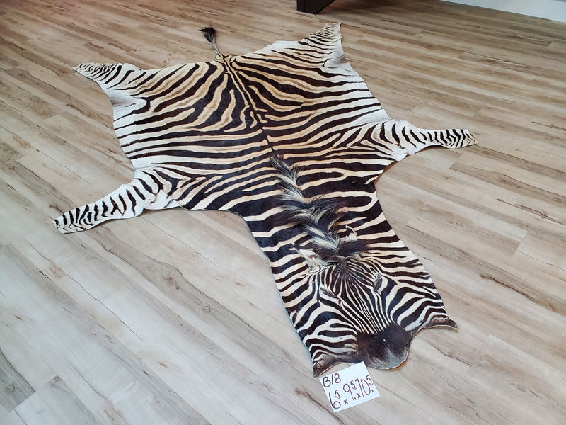 B Grade Zebra Skin Rug - B18