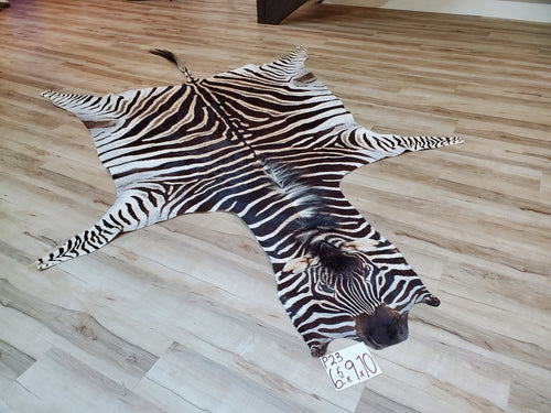Authentic Zebra Skin Rug - Zebra Rugs for Sale | Trophy Room Collection ...