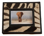 Zebra Picture Frame - Trophy Room Collection 