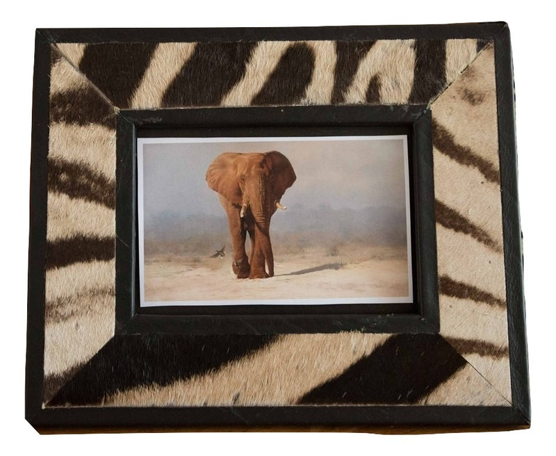Zebra Picture Frame - Trophy Room Collection 