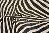 COWHIDE - Black On Cream Zebra Stencil - Trophy Room Collection 