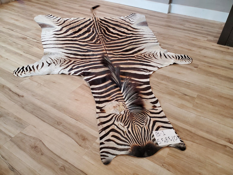 B Grade Zebra Skin Rug- B1