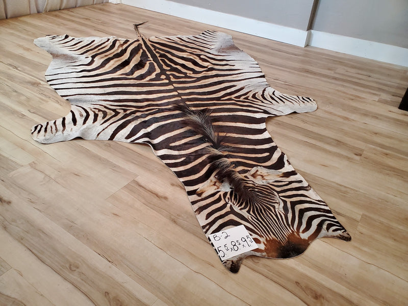 B Grade Zebra Skin Rug- B2