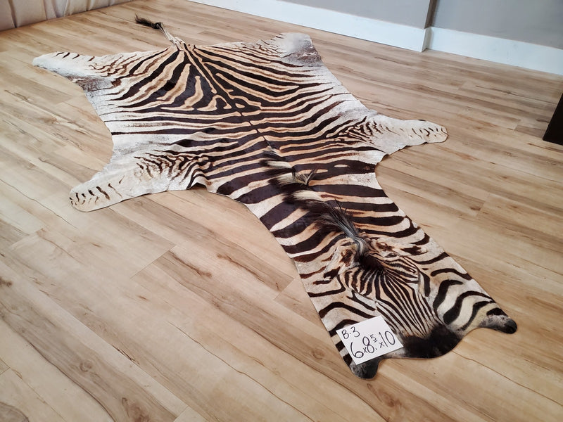 B Grade Zebra Skin Rug- B3