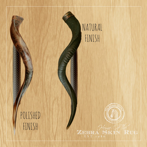 KUDU HORN Door Handle - 24" or 30" - Trophy Room Collection 